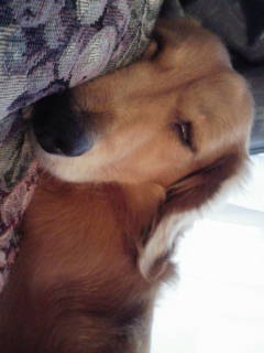 今の僕　おやすみ・・